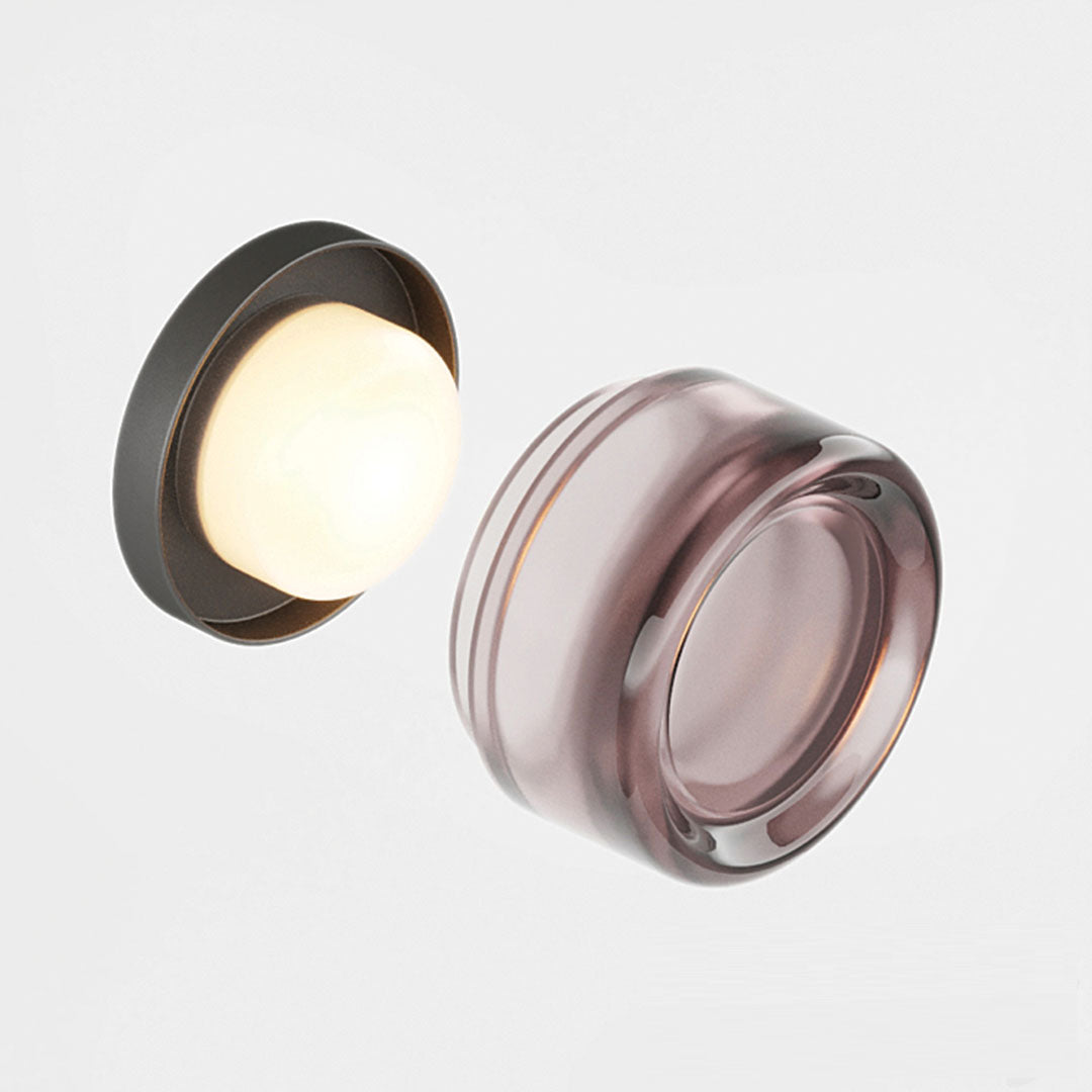 Modern Metal Glass Adjustable Tone Wall Light